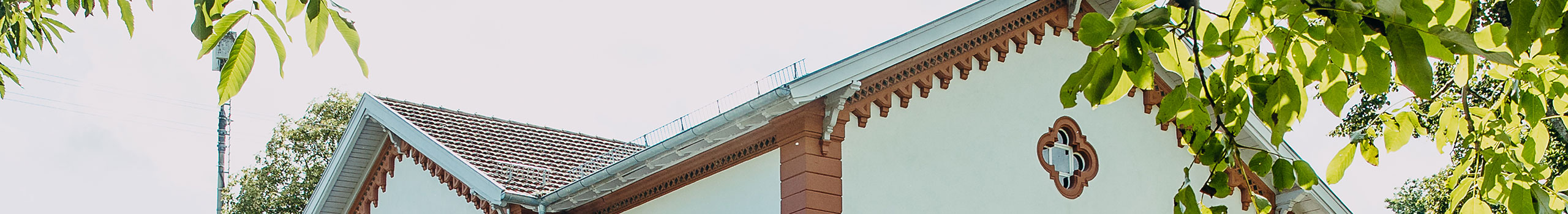 Gebäudedach und Äste